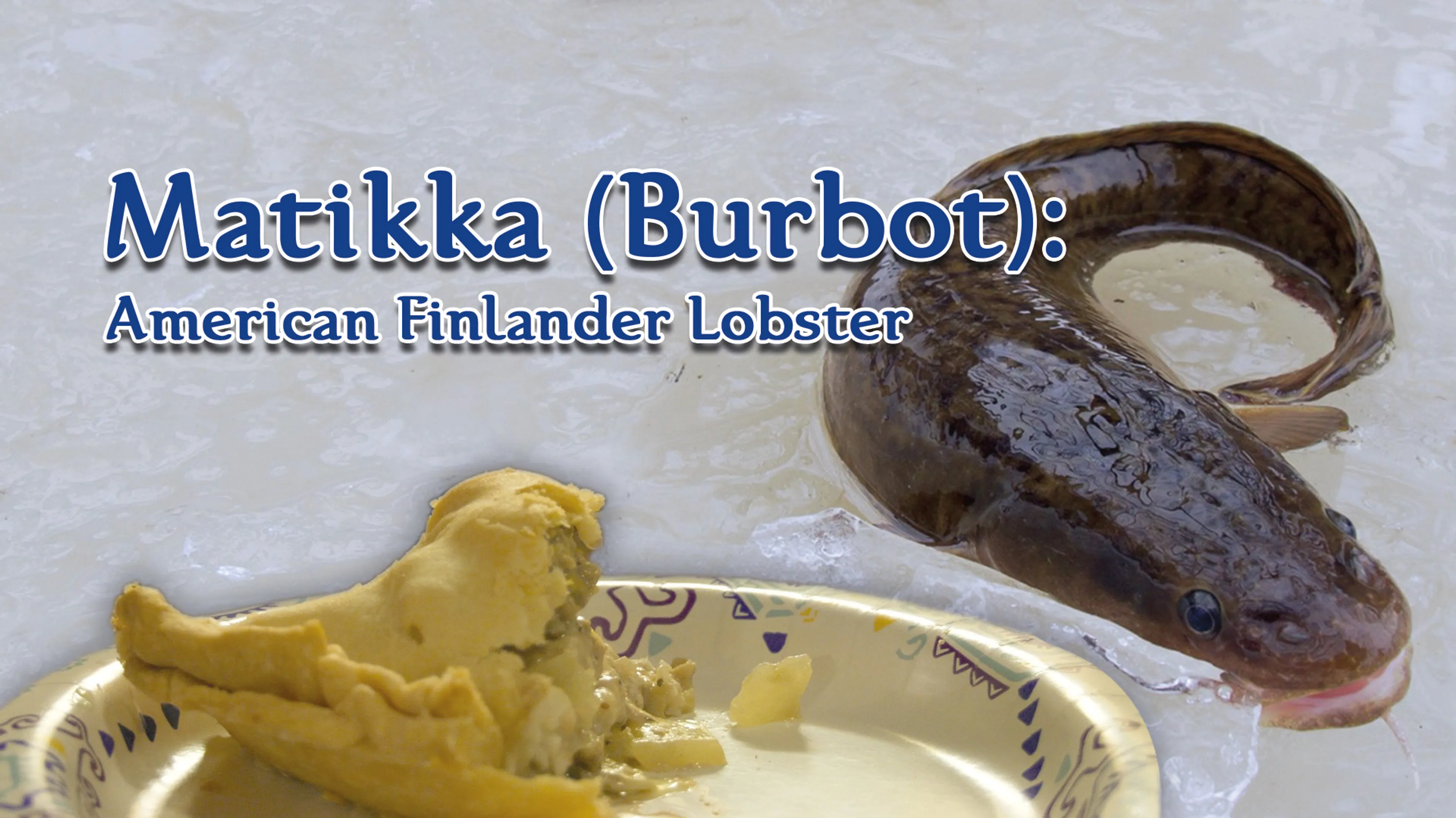 Matikka (Burbot): American Finlander Lobster poster